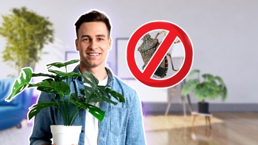 �������� ��� �������� � ������ � �������: ��� ��������� � ��� ��������