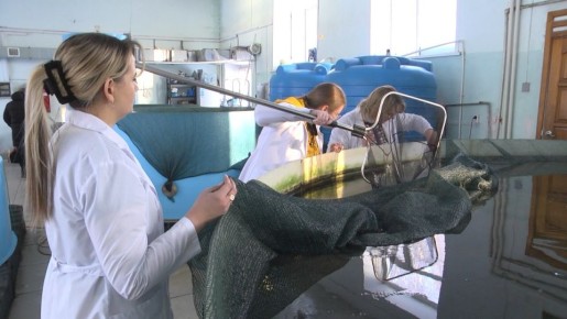 ����, ������ �� ��������� ���������, �� ��������� � ��������� ���� ������� ����������