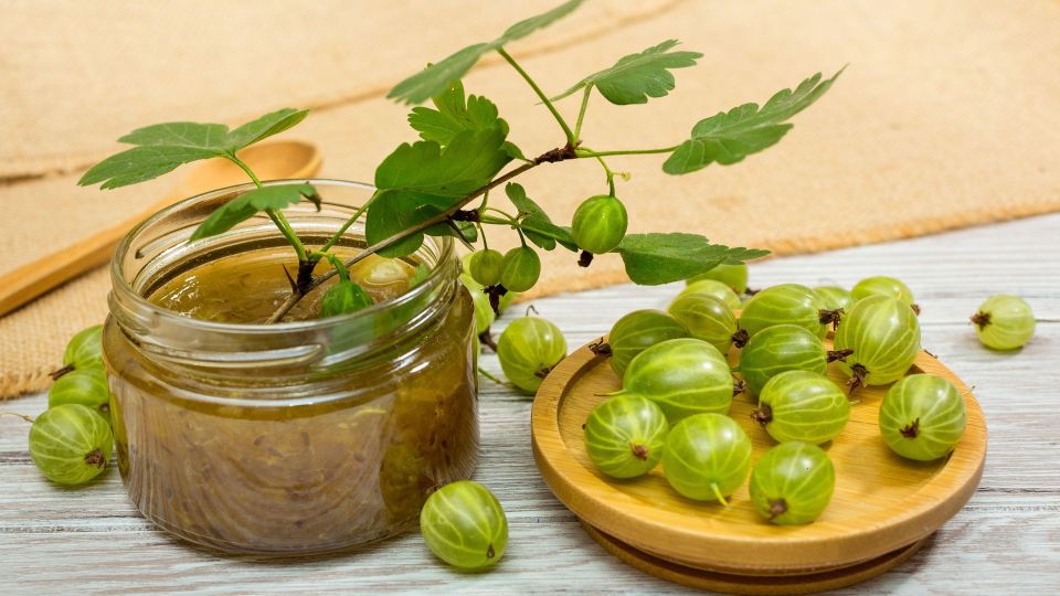 �������� �������� ������ ��������������� ������� ������������: ����� ������������