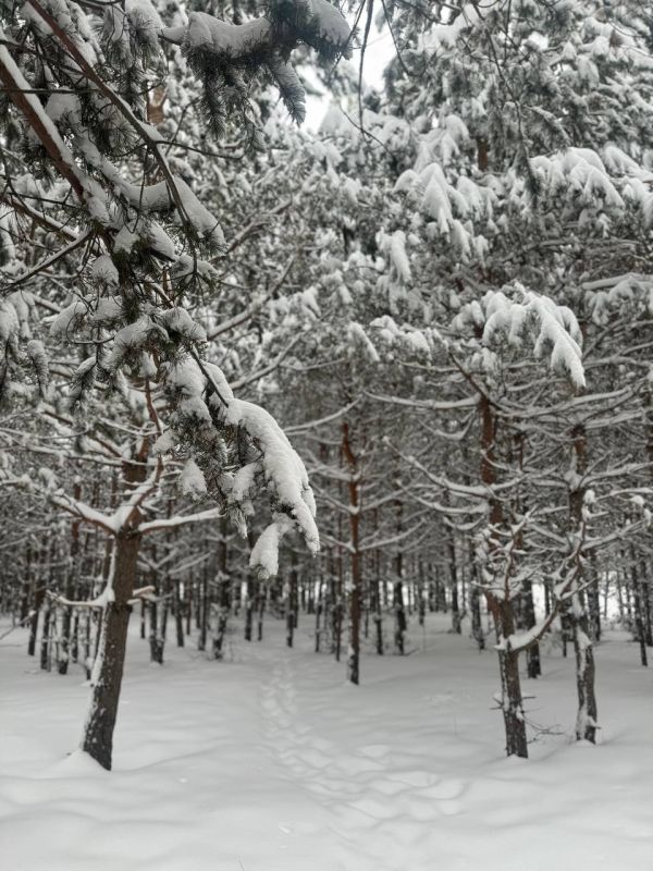 ������ ����, ������!. � ��� �������, 6 �������, ���������� �������� ������, ���� ���������� ��������, ���� �������� � ������� � ��������� ���� ������ �� ���������� ��������