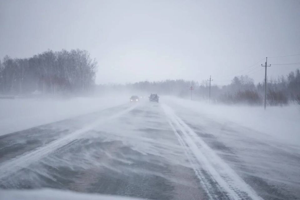 � ����������� ������� �� ����������� �������� ������ ������� ���������