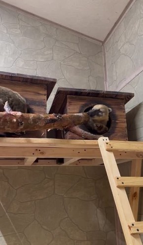 ������ ��������� � ����� ���!