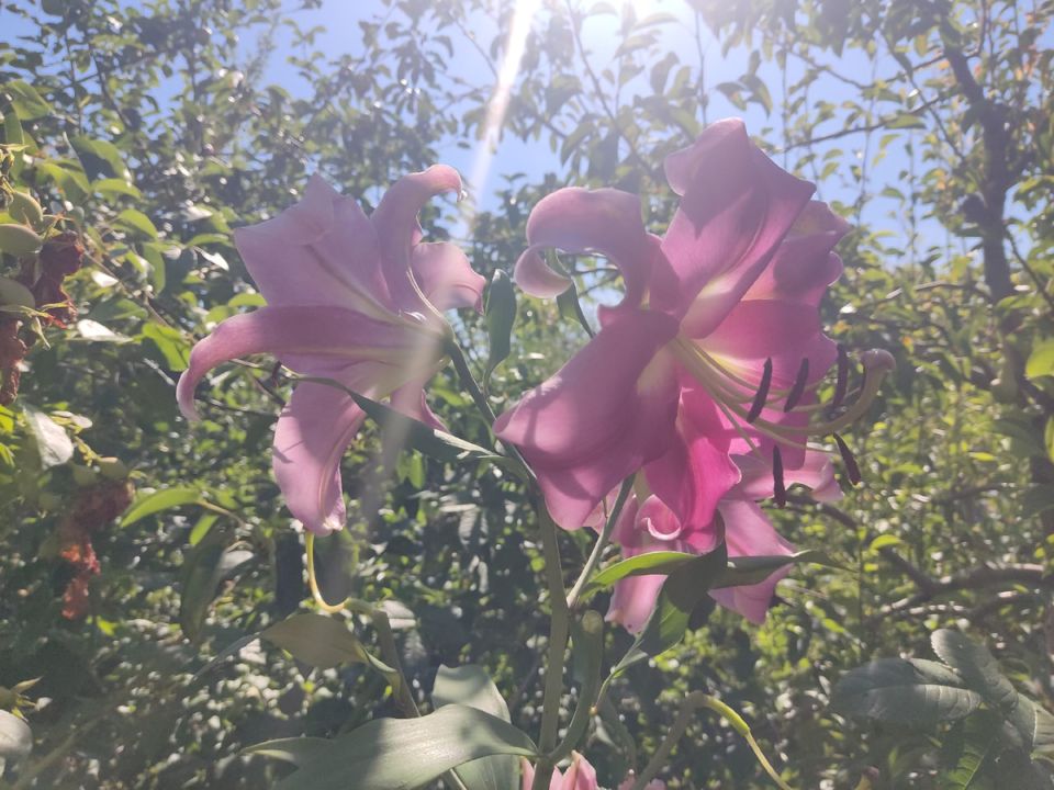 ����� ���: ��� �������� ������ ������ � ������ � ������� �����