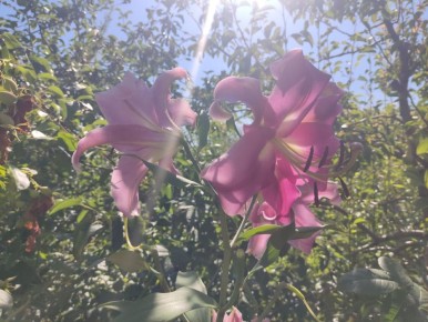 ����� ���: ��� �������� ������ ������ � ������ � ������� �����