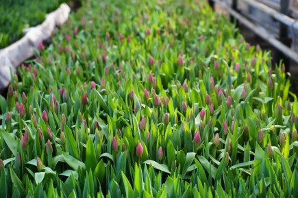 ����� 170 ����� ��������� ����������� ����������� ����������� � �������� ����������