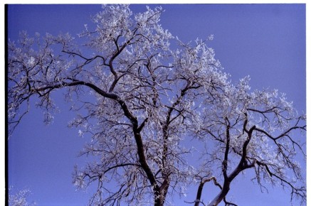 ������� ���������� �� �����