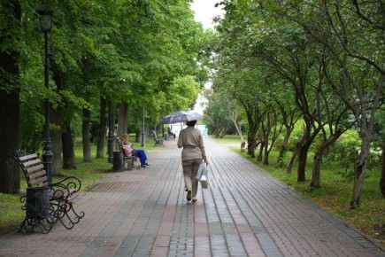 � ������ ���������� ������� 100 ������� �������