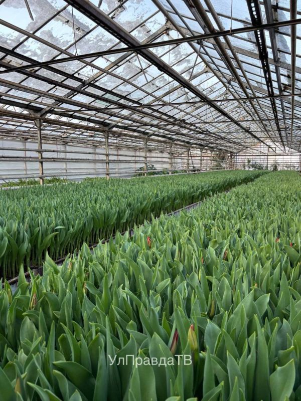 ���� ����������� ������������� ������� ���� �� ������� � ������������ ��� ��������� �����