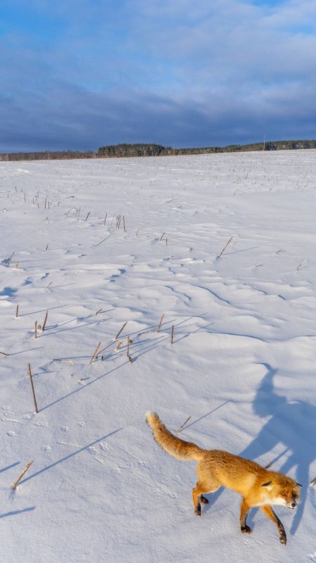 ������ ��� �� ����� ������