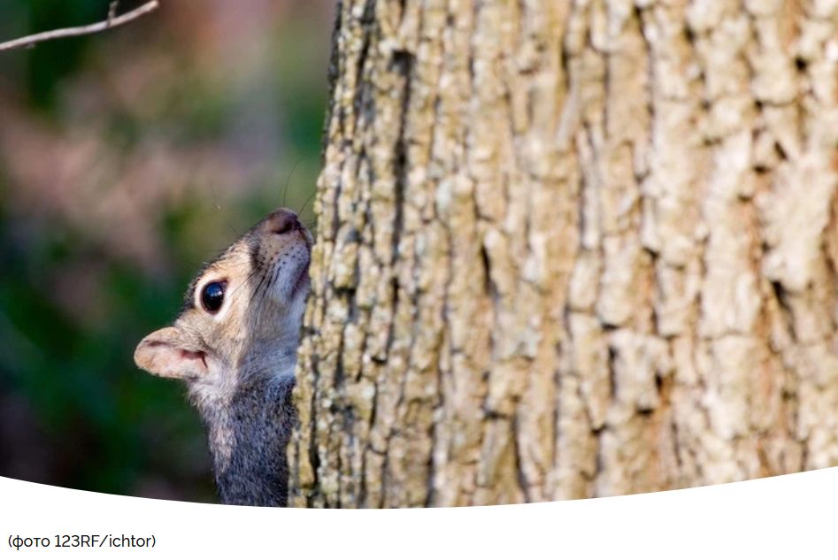 ����� � ����: ��� �������� ������� �� ��������