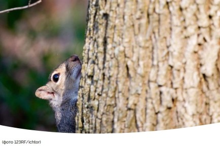 ����� � ����: ��� �������� ������� �� ��������