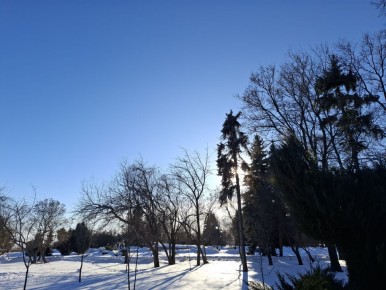 ������ ����, ������!. �������, 12 �������, ���������� ������������� ���� ����� � ���������, ���� ��������������� ��������, ���� ��������� �������� � ���� ������������� ��������