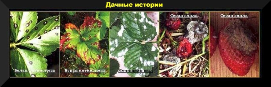 ���� �� ��������� � �������: ��� ��������� ����������� � ����������� ������ � �������� ������