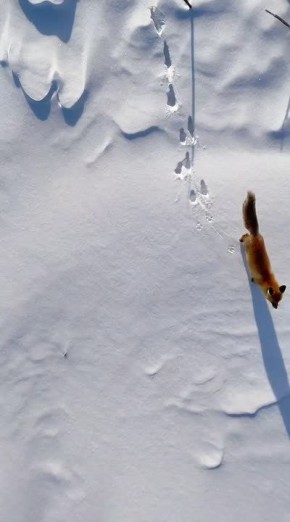 ������������� �� ���� ��������: ������� ������������� �� ����