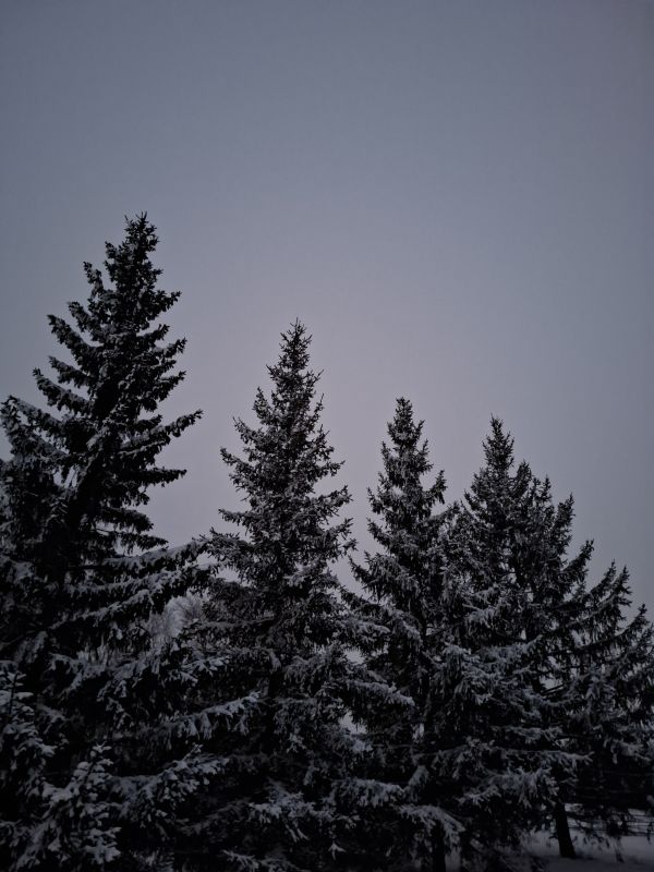 ������ ����, ������!. ��� � �������� � ����� ��������� ������� ������