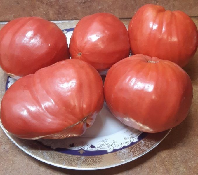 ����� ���������������: ������������ ���� � ������������ ������