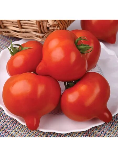 Томат Огневский: Почему он стал фаворитом среди огородников