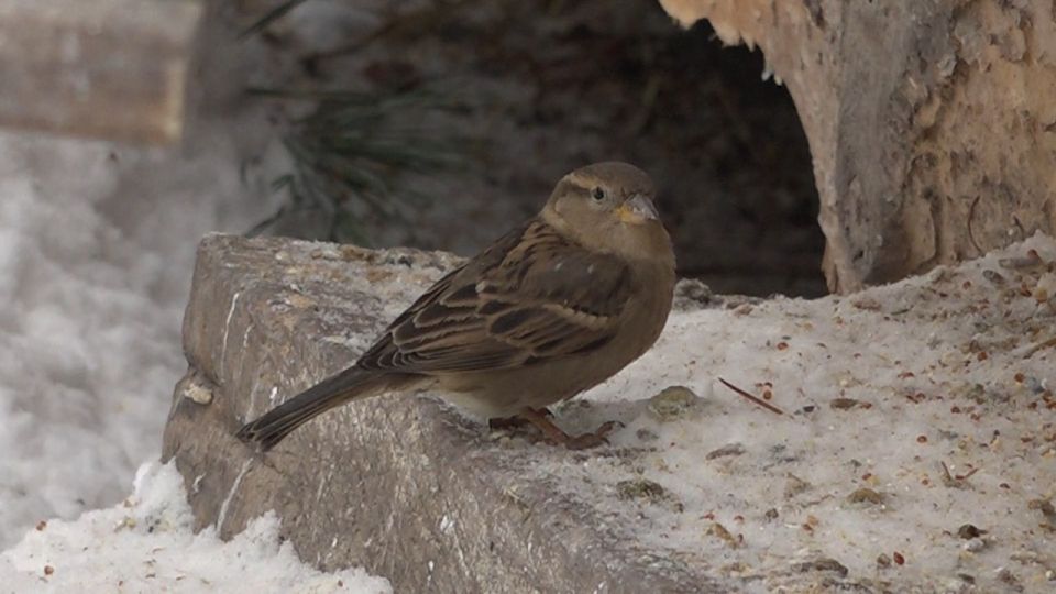 � �������� �� ����������� ������� � ������ ������������ �� ������ ������� �������� � ��� �������� ����� ��������� �������� � ���������� ������ ������������