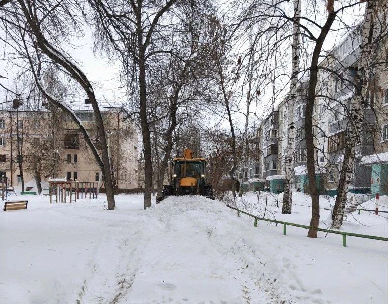 ����������� ��������� ������������ 205 ���� ���������������� ����������