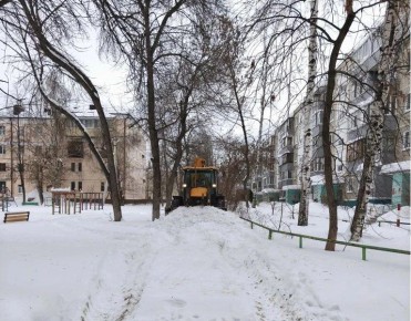 ����������� ��������� ������������ 205 ���� ���������������� ����������