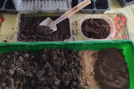 ��� ��������� ��������� ����� ��� ��������� ����������� ������� �����