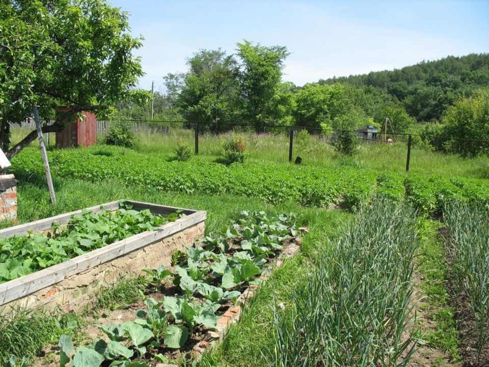 ��� �������� ���� ������ �� ������ ����: ������ ������� ���������