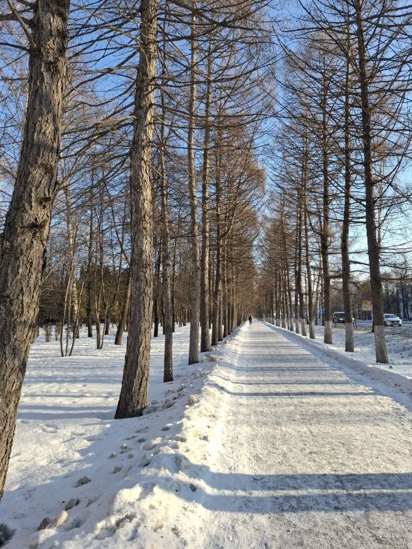 ������ ����, ������!. 15 ������� � ���� ������ � ���������, ����������� ��������� ���� �� ��������� ���������, ������������� ���� ������������ ����������� ������, ���� �������� ���������� � ��������� ���� �����