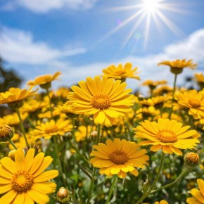 ��������� � ����: ������� ���� � ������� �������� � ��������