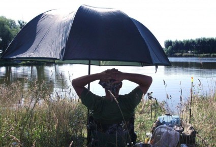 ���� �����: ������� �������� �������, ������� ����� �����