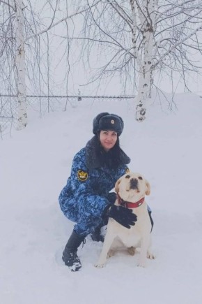 ��������� ������ ����-3 ����� ������ �� ����������� ������� �� ������ ����� ������� ����������� ���������� ������������� ��������