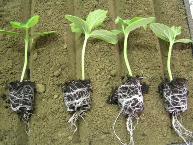 ��� ���������� ���� �� �������� ����� ����� ����� �������� ������