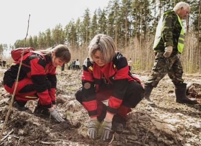 ������������� ������������������� �������� � ����������� ������� �� ������� 1500 �������� � ���� ����