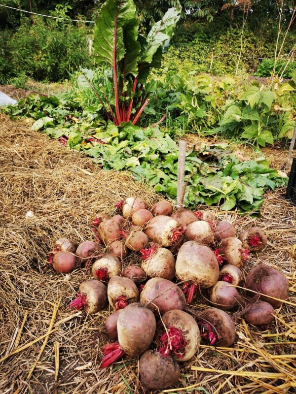 ��� ����������� ������ � ������ ������: ������������ ������ ��� ���������