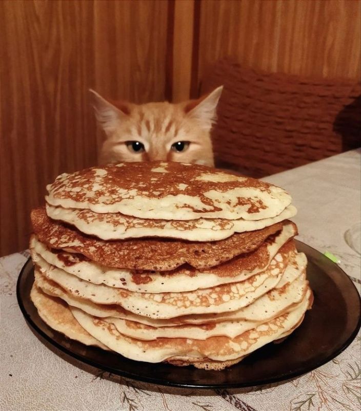 ������ ����, ������!. �������, 18 �������, �������� ���� ���������, ���� ���������, ���� ������������ ������� �� � �������� ���� ��������������