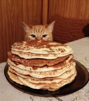 Доброе утро, друзья!. Сегодня, 18 февраля, отмечаем День пельменей, День батарейки, День транспортной полиции РФ и Праздник всех легкомысленных