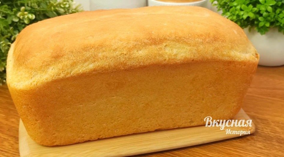 ��� �������� ���� ���������� ��������� ����� ����� �������