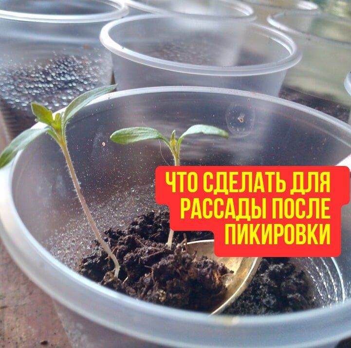 ��� ������ ������ � �������� ����� ���������, ����� ��� �� �����