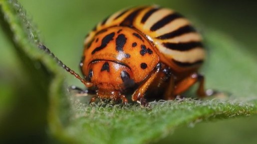 ��� ���������� � ����������� �����: 8 ����������� ������������� �������