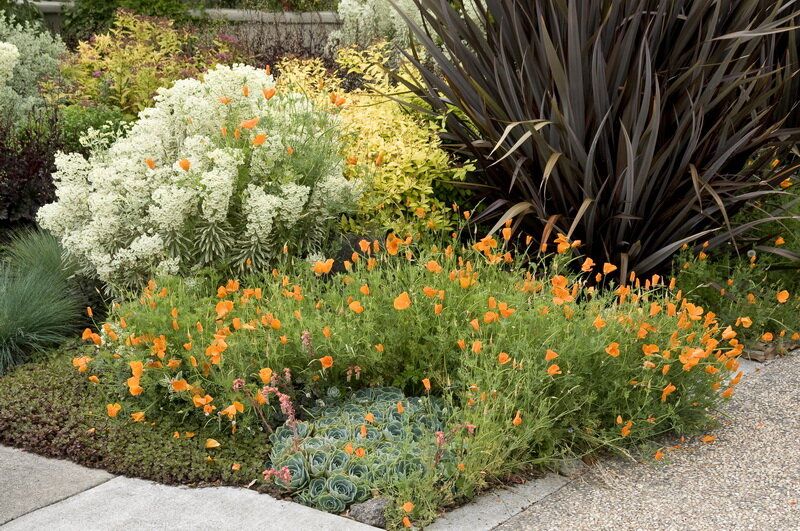 ��� ������� �������� ����������������: 10 ���� ��� ������������