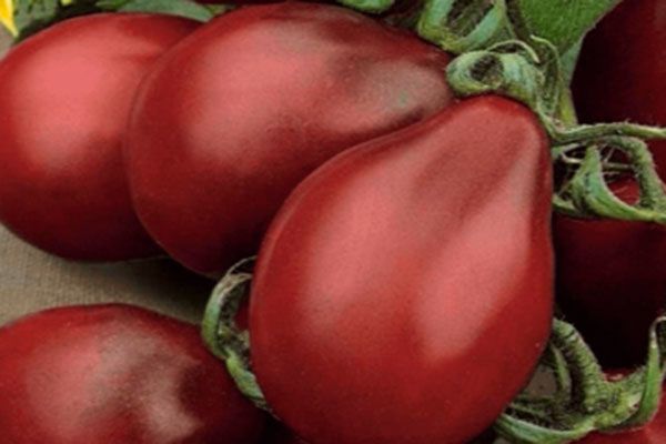 ����� ������: ��� �������� ������ � �� �����������