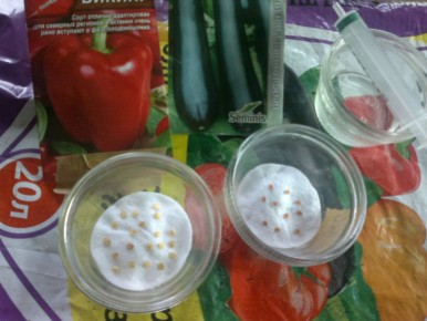 Стеллаж для рассады: практика и первые результаты