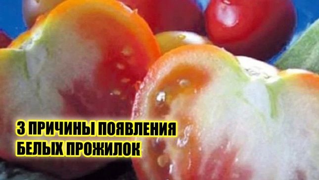 ����� �������� � �������: ��� ��� � ��� � ���� ����������