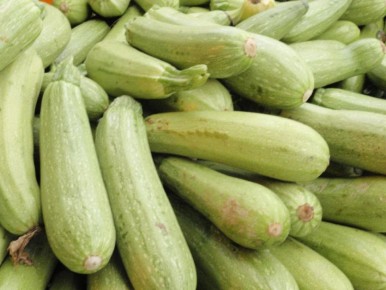 Как выбрать идеальное место для кабачков: секреты успешного роста