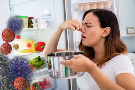 Как лимон и гвоздика могут освежить ваш холодильник