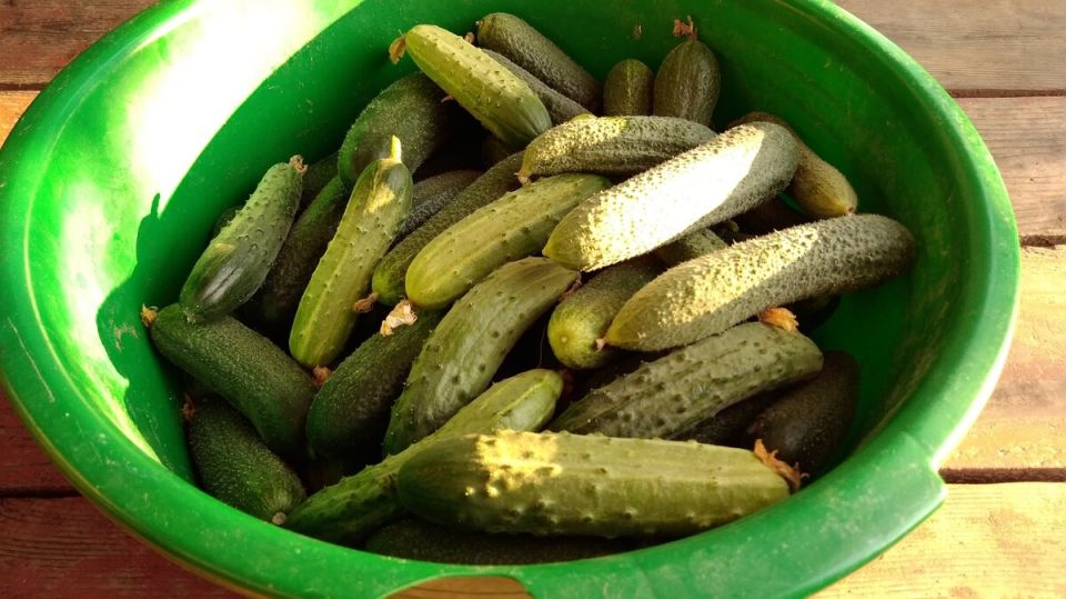 ��� ���������� ������� ������-������ ��� ����� ������� ��������