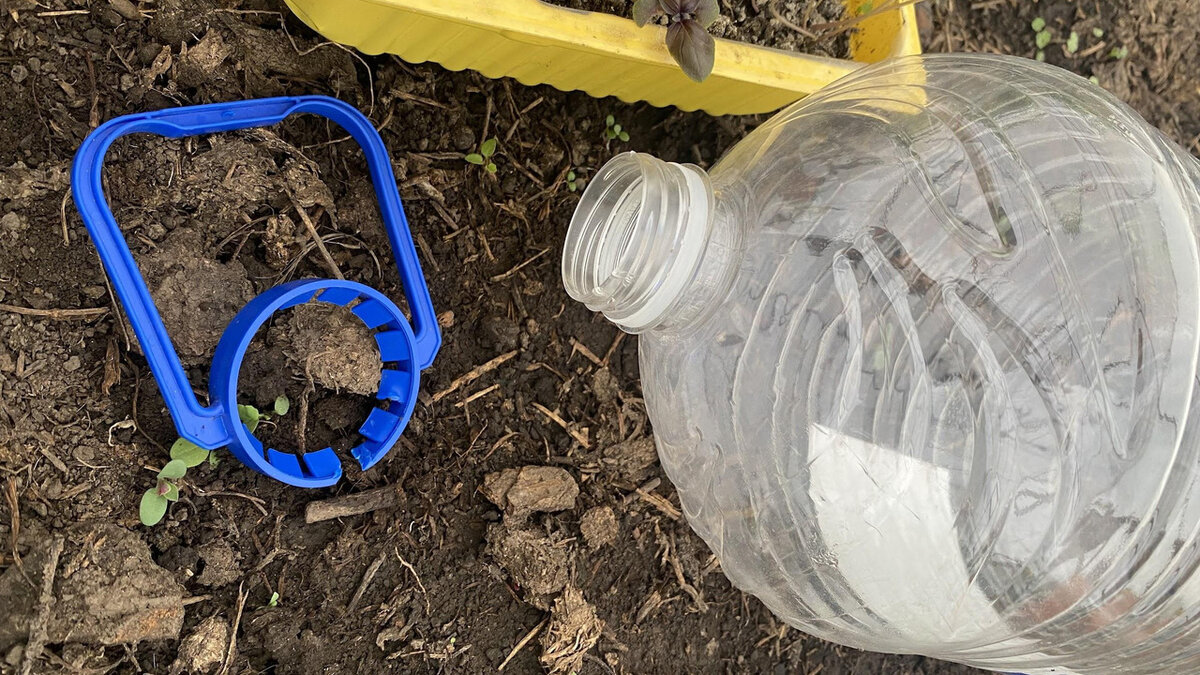 Польза пластиковых бутылей на даче: как создать контейнер для рассады