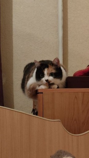 ������ ����, ������!. �������, 25 �������, ��������� ���� �������� ���������, ���� �������� ������ � ���� ����������� �������������� ���� �������������� ������