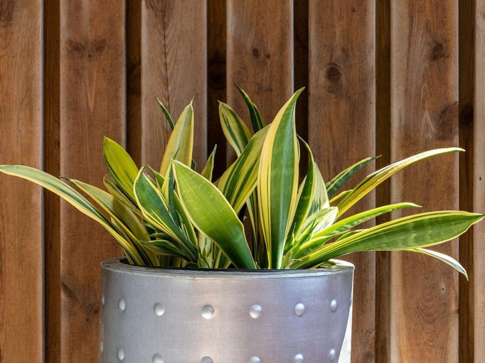 ��� ��������� ���������� ����������� ��� ���������� ������������� �������