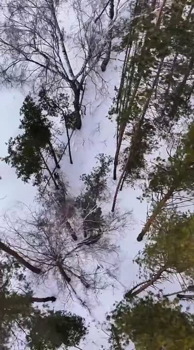 ��������� ����� ������� �������� ���