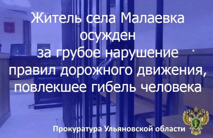 Заместитель прокурора Чердаклинского района Ульяновской области поддержал государственное обвинение в судебном процессе по уголовному делу в отношении жителя региона, который признан виновным по п.п. «а», «в» ч. 4 ст. 264 УК...